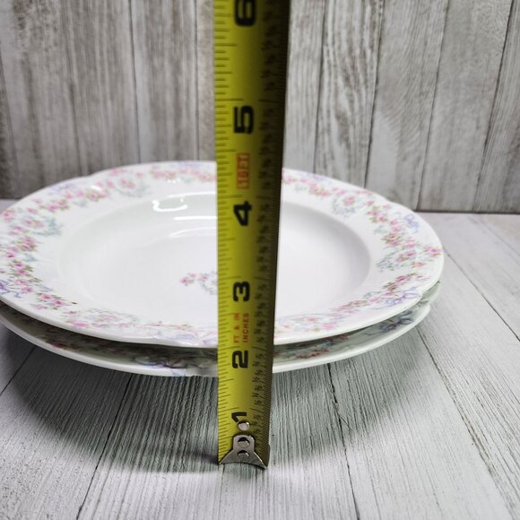Vintage Bassett Limoges Dinner Plates White Pink Flower Austria 9.5 in Set Of 2 - Picture 6 of 7